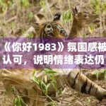 《你好1983》氛围感被认可，说明情绪表达仍是关键
