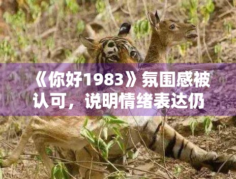 《你好1983》氛围感被认可,说明情绪表达仍是关键 《你好1983》氛围感被认可,说明情绪表达仍是关键