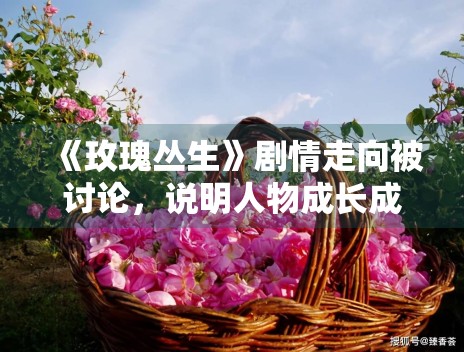 《玫瑰丛生》剧情走向被讨论,说明人物成长成为核心看点 《玫瑰丛生》剧情走向被讨论,说明人物成长成为核心看点