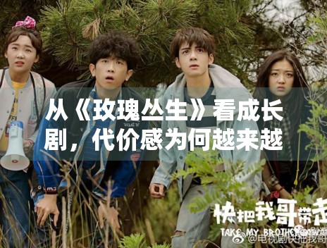 从《玫瑰丛生》看成长剧，代价感为何越来越重要