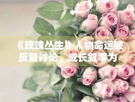 《玫瑰丛生》人物命运被反复讨论，成长叙事为何更耐看